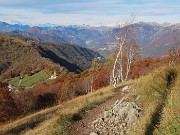 20 Salmezza colorata d'autunno